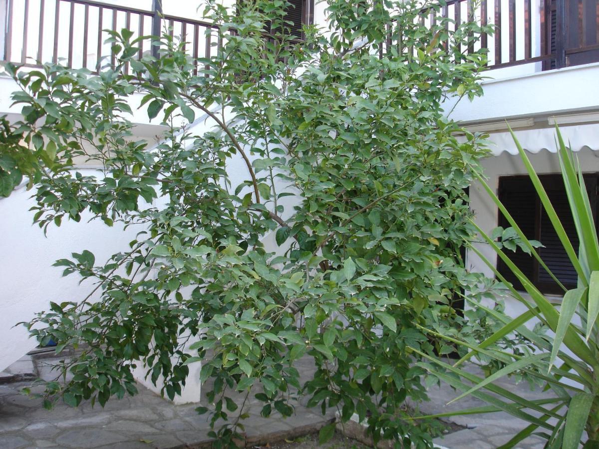 Dionysus-Mihanicus Ierissos Exteriör bild